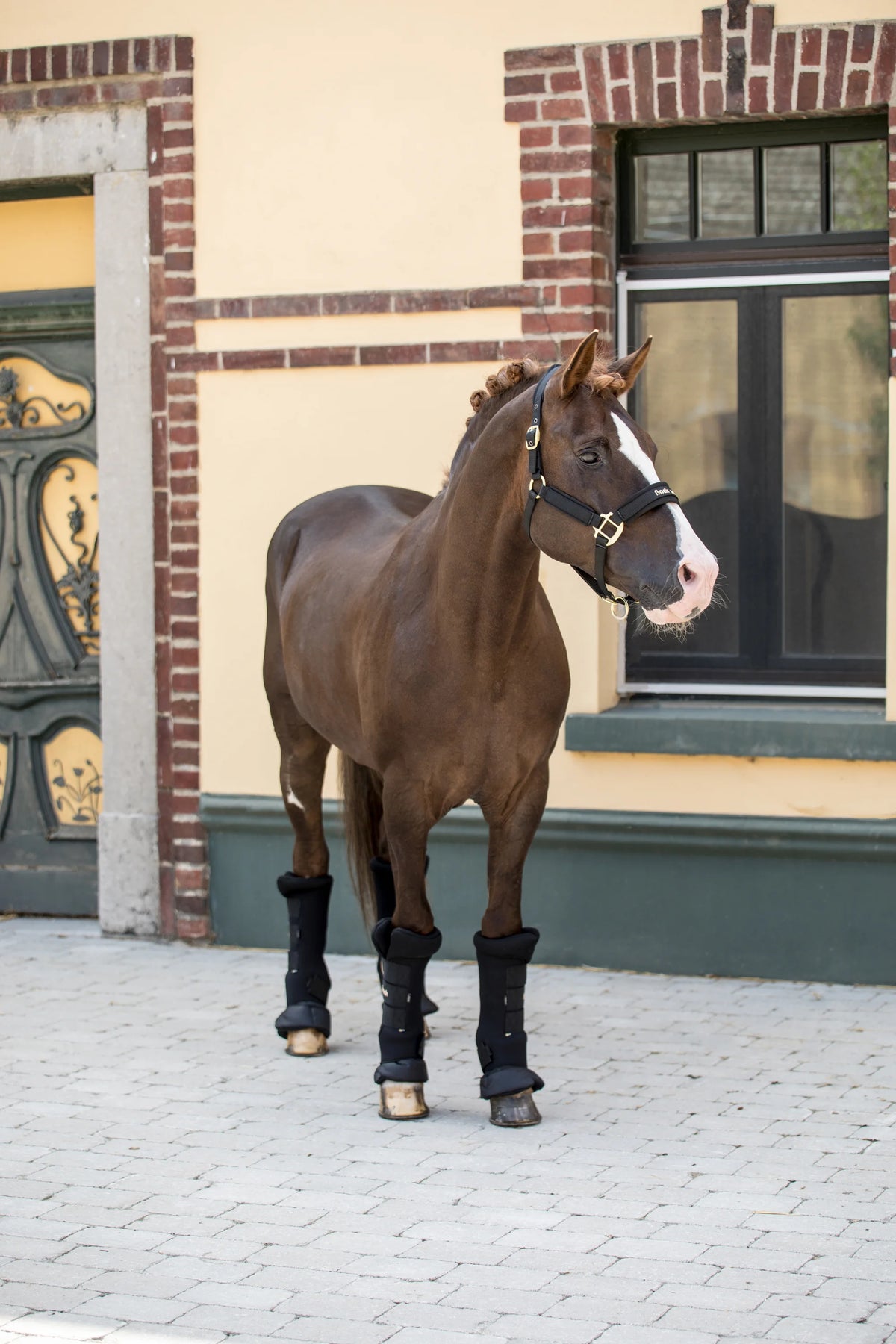 Back On Track Royal Quick Wraps Deluxe - Therapeutic Horse Leg Wraps - Black (Pair)