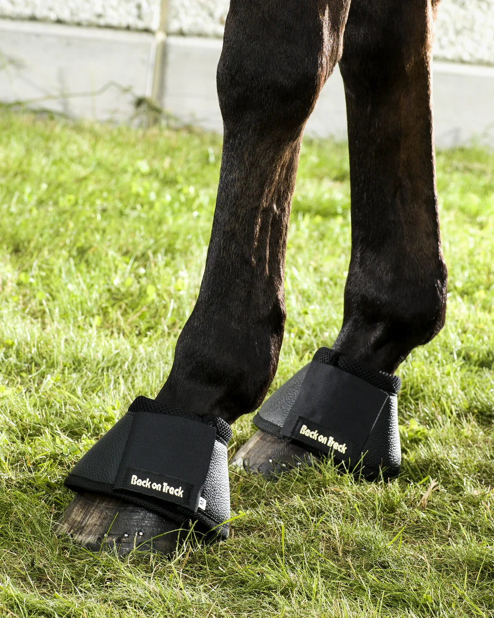 Back On Track Classic Bell Boots - Therapeutic Welltex Protection - Black (Pair)