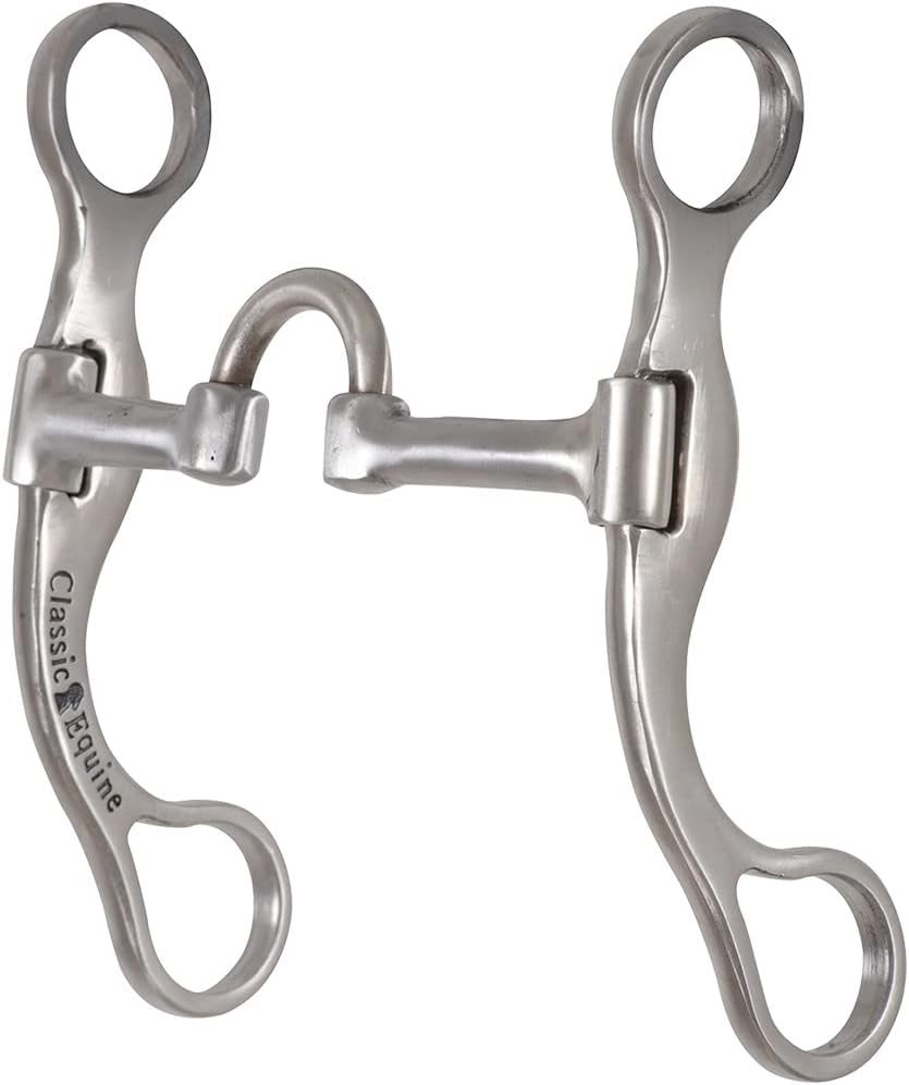 Classic Equine Bit Logic: Enhance Horse Performance with Precision