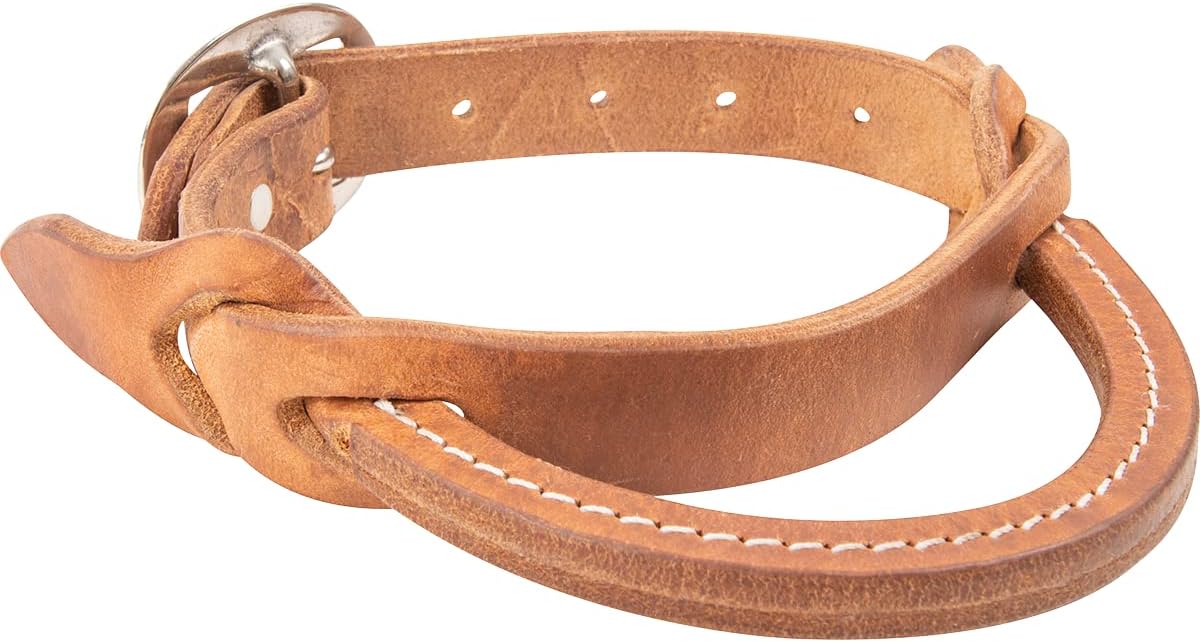 Cashel Company Night Latch - Hooves and Paws