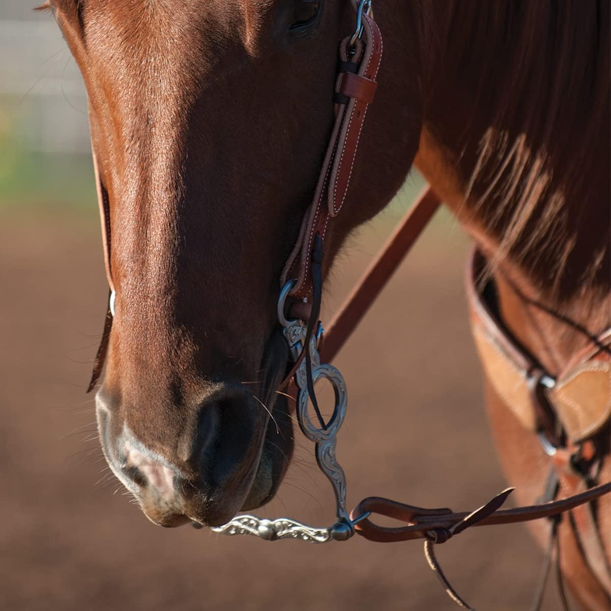 Classic Equine Les Vogt Cowhorse Bit - Precise Control & Comfort