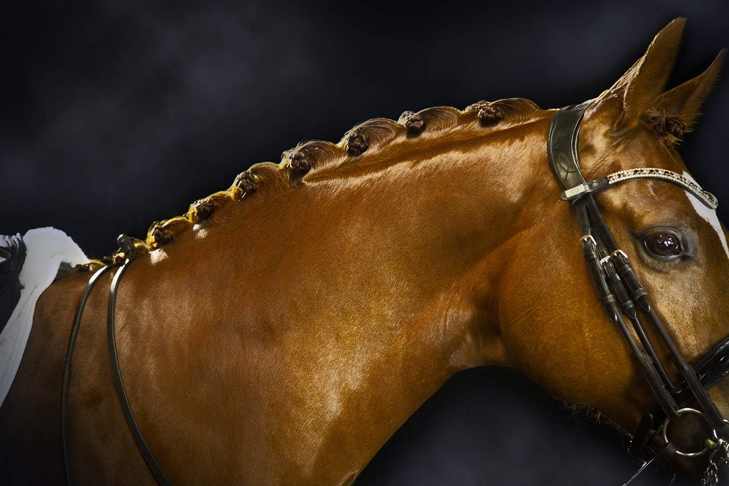 Exhibitor's Quic Braid for Total Mane & Tail Control 16 oz Spray (Sell out)