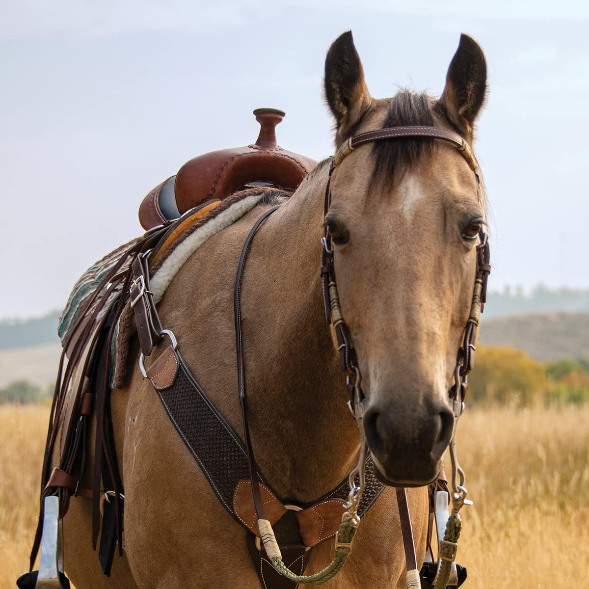 Cashel Rawhide Browband Headstall with Quick Change Bit Ends