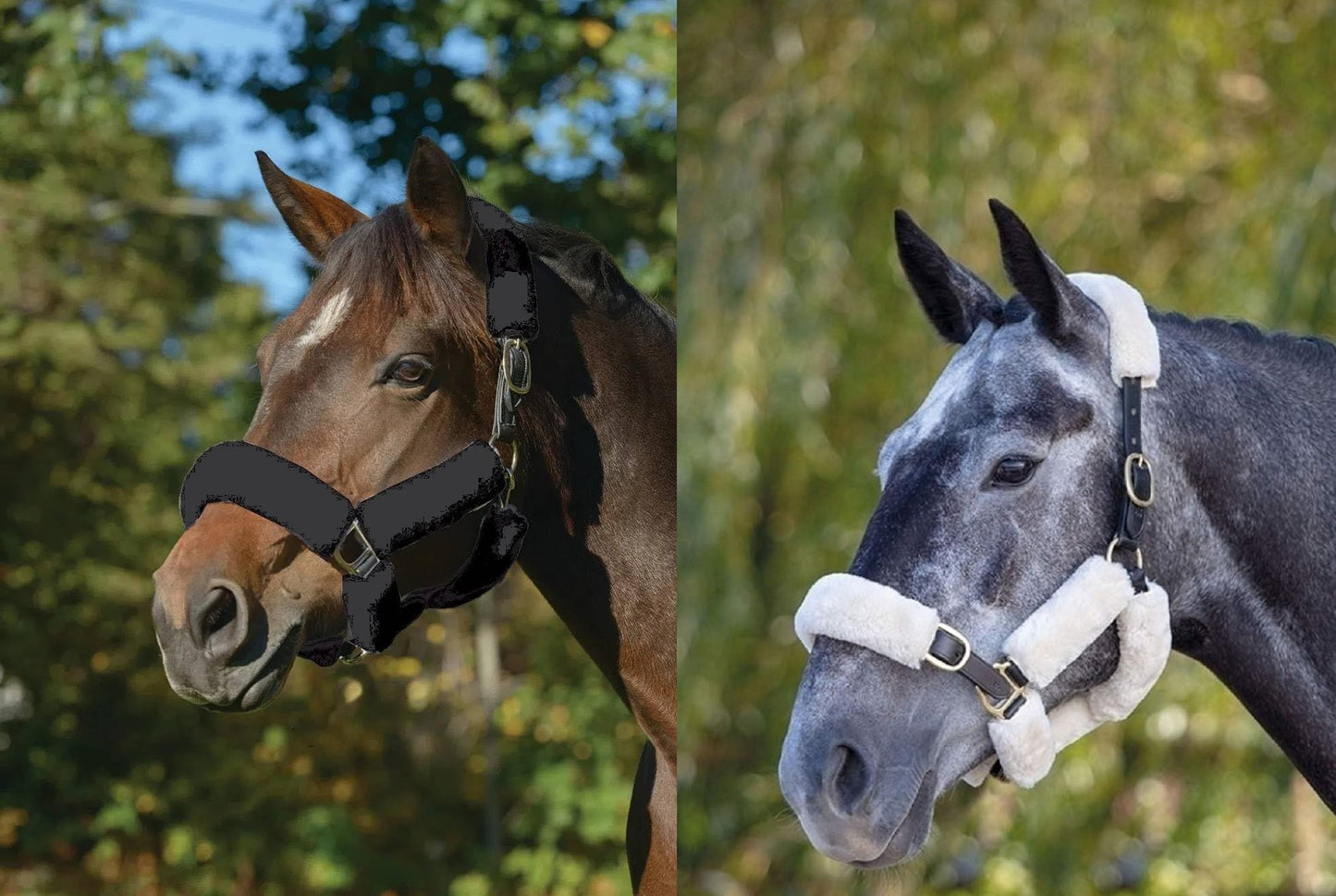 Shires ARMA SupaFleece Halter Set 88507 - Hooves and Paws