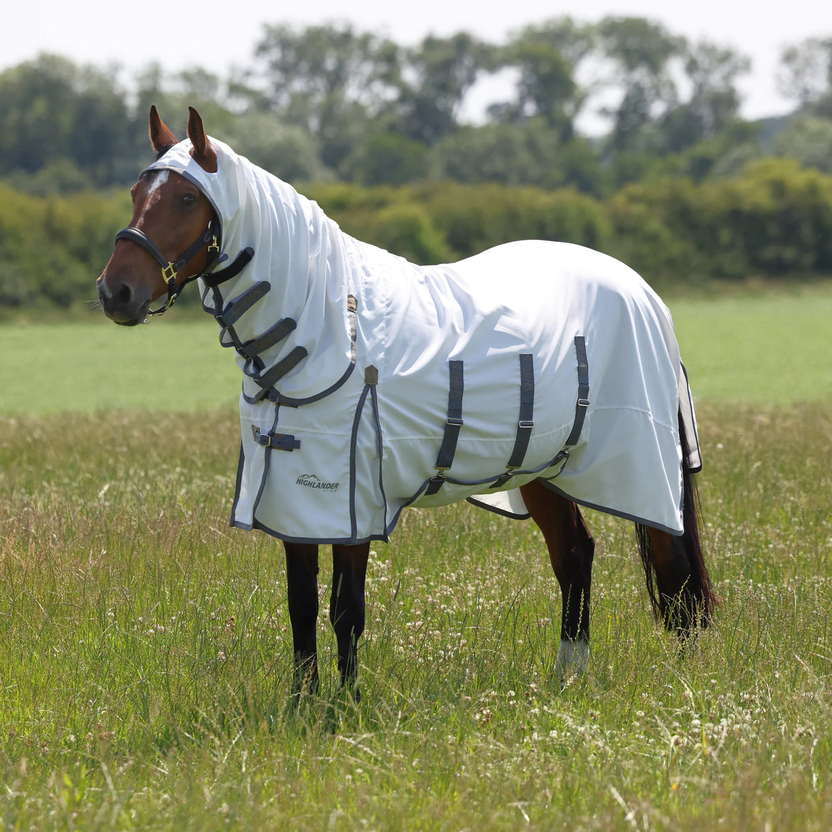 Shires Highlander Plus Sweet Itch Combo - Midge-Proof 600D