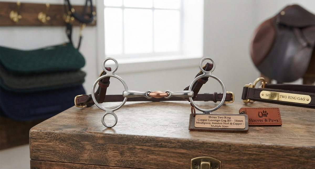 Lifestyle photo of Shires Two Ring Copper Lozenge Gag Bit - 16mm Mouthpiece, Stainless Steel & Copper - Multiple Sizes