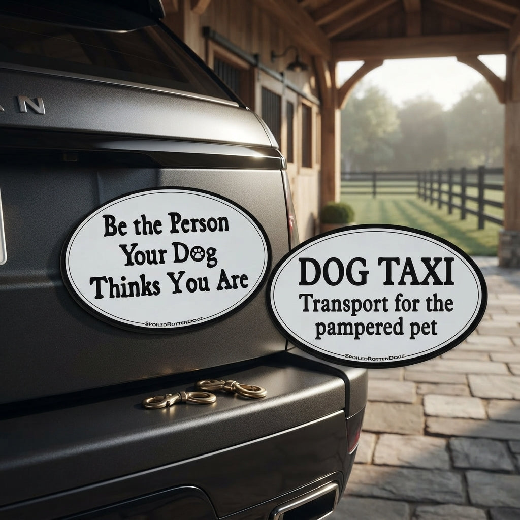 Lifestyle photo of Spoiled Rotten Dogz "DOG TAXI" Car Magnet - Weatherproof & Removable Magnetic Vehicle Decal for Dog Lovers