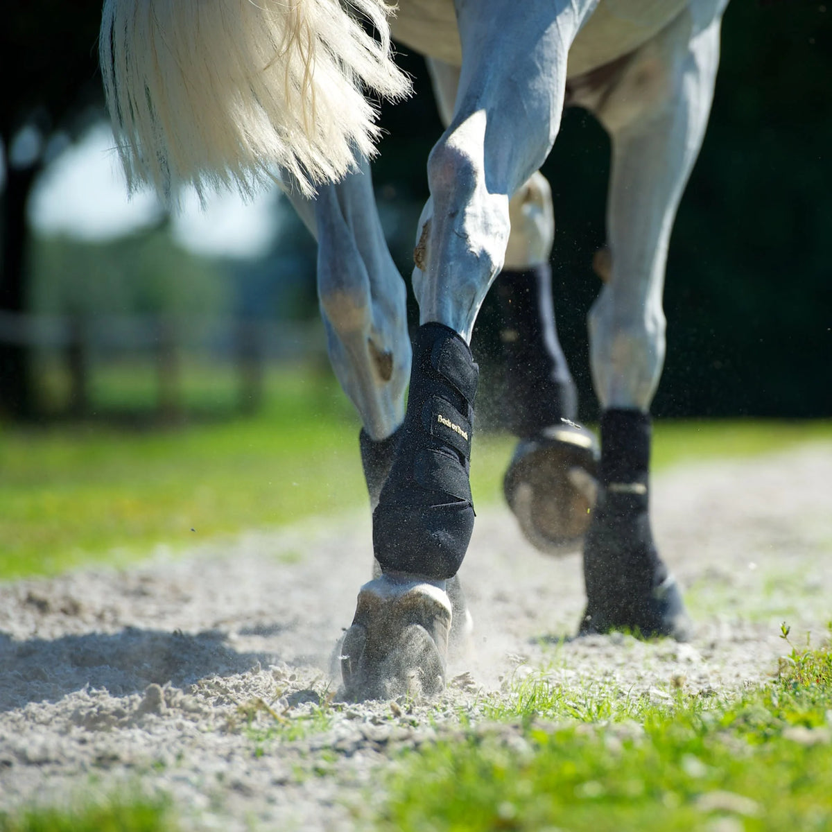 Back On Track Classic Exercise Boots