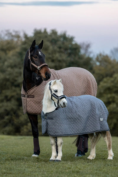 Back On Track Haze Horse Show Quilt