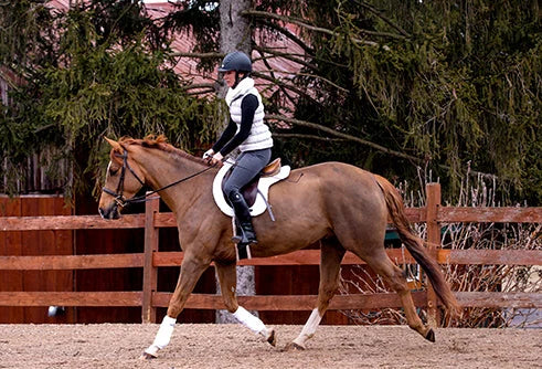 Back On Track Teddy All-Purpose Saddle Pad
