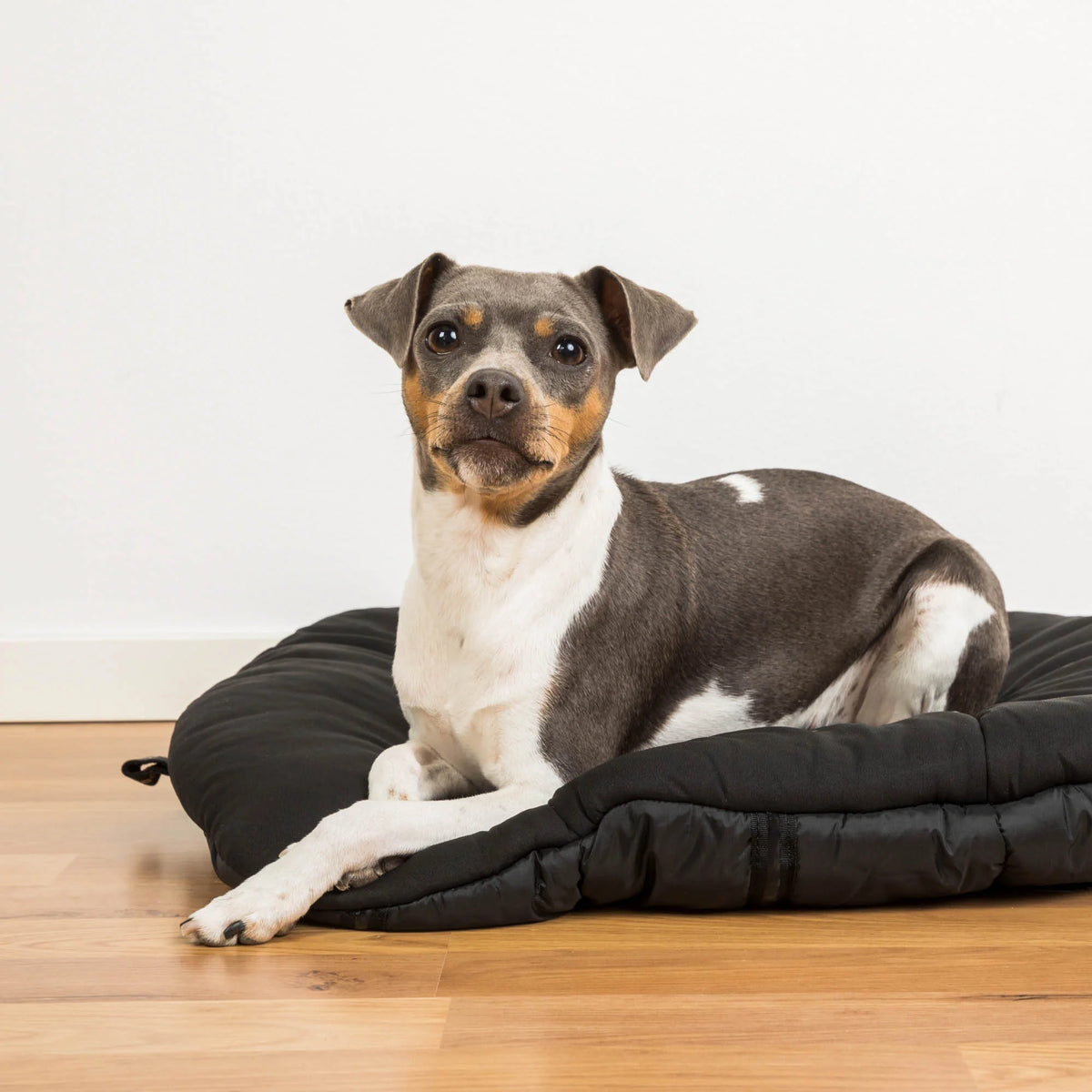 Back On Track Therapeutic Dog Bed with Welltex - Black - Medium 31x39 (80x100cm)