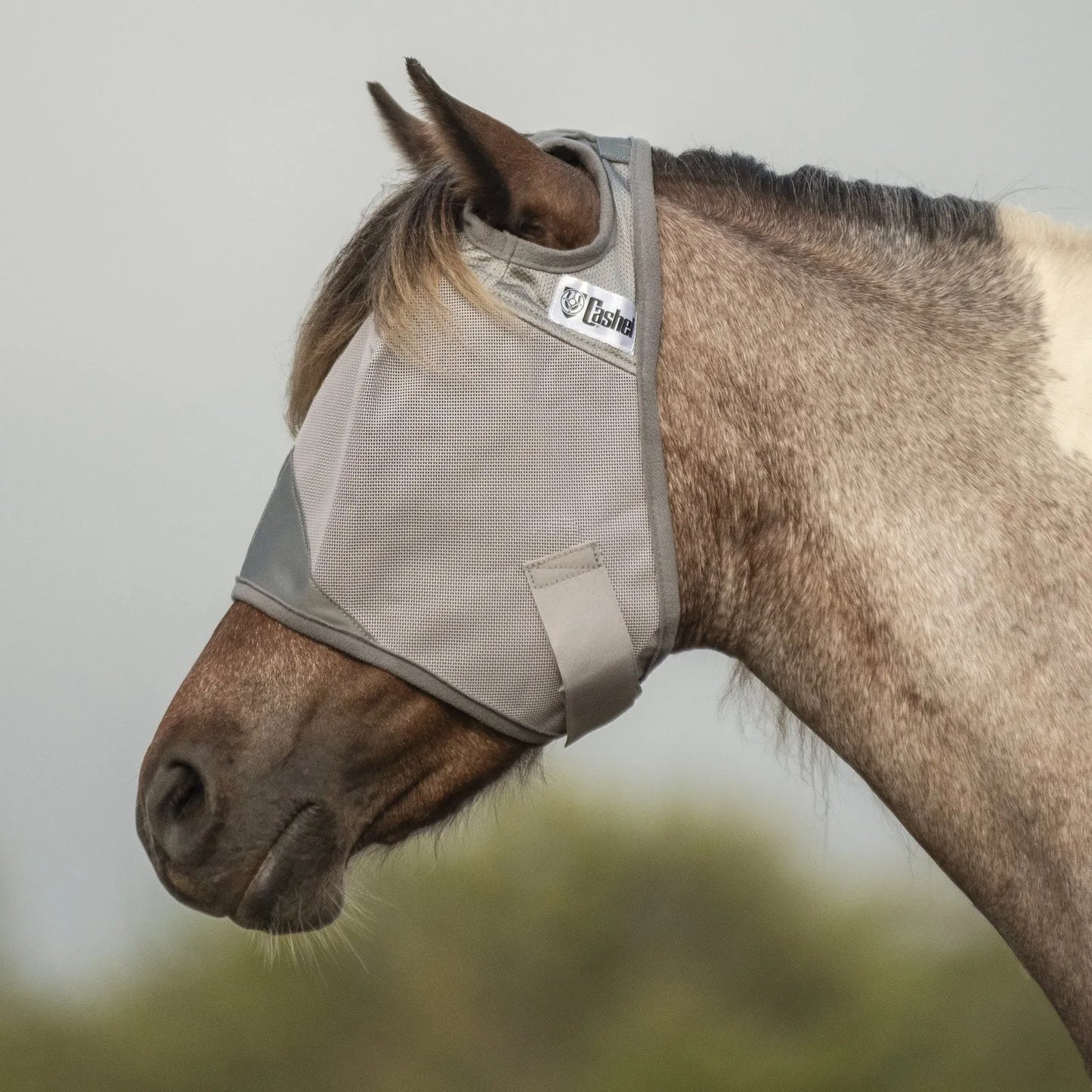 Cashel Crusader Sun Fly Mask in grey mesh on a roan horse, providing ultimate UV and fly protection. This durable horse mask features a secure Velcro strap, soft ear openings, and fine mesh to shield sensitive eyes from insects and sun glare. An essential piece of equestrian gear for summer comfort and eye health.