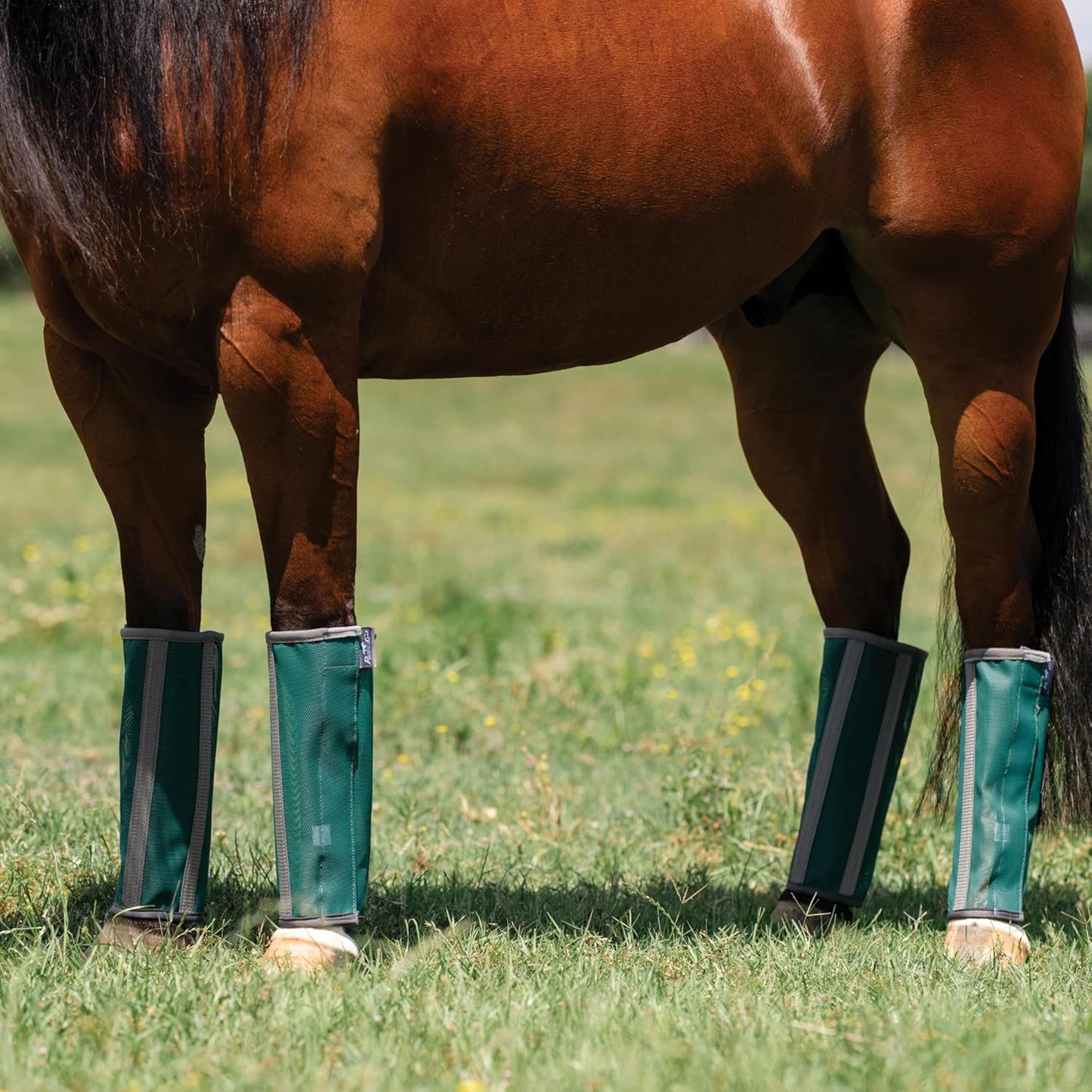 Professional's Choice Deluxe Fly Boots | Breathable Mesh | 4 Pack - Hooves and Paws