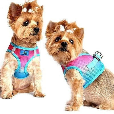 Doggie Design American River Choke-Free Dog Harness Ombre Collection - Reflective Step-In Mesh - Multiple Sizes
