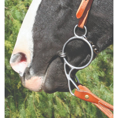 Equisential by Professionals Choice Equine Wonder Smooth Snaffle Bit on a black horse with a white blaze. This stainless steel training bit features a smooth snaffle mouthpiece and a leverage ring design for precise communication. Attached to a chestnut leather headstall and reins, it's a versatile piece of horse tack for riders seeking gentle control and refined cues in various disciplines.