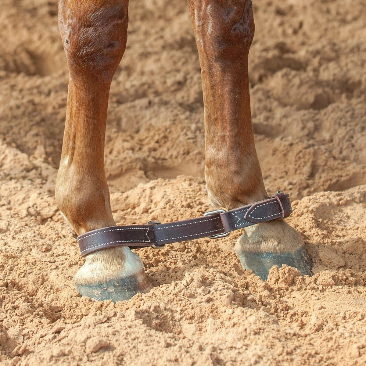 Martin Saddlery Double Stitched Latigo Leather Horse Hobbles - Durable Trail & Training Gear