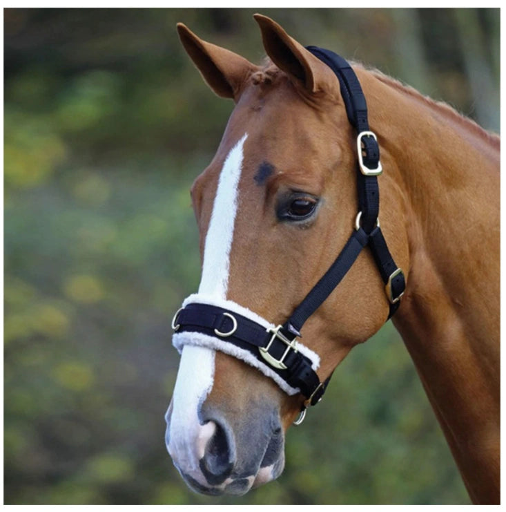 Shires Fleece Lined Lunge Cavesson - Comfortable Horse Training Cavesson (Sell out)