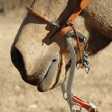 Classic Equine Hackamore Stainless Steel Performance Serie - Hooves and Paws