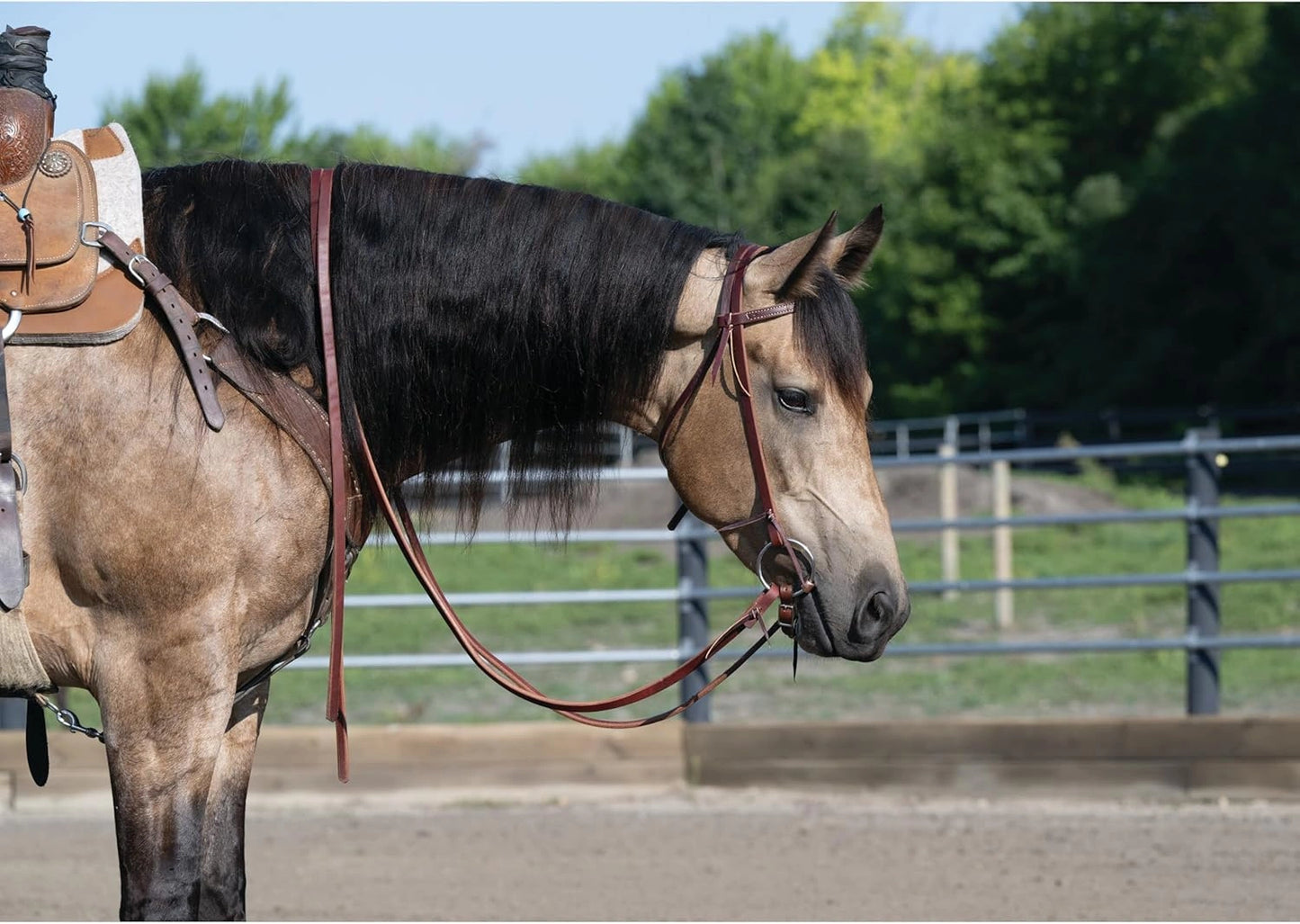 Weaver Leather ProTack Oiled Split Reins - Hermann Oak Harness Leather - 5/8" x 8'