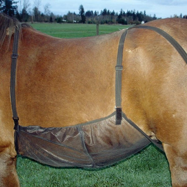 Cashel Quiet Ride - Hooves and Paws
