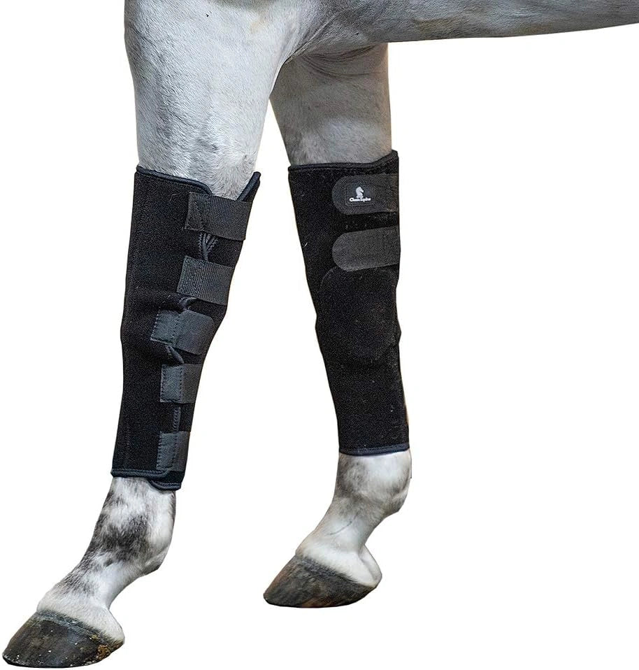 Classic Equine Stud Breeding Boots - Padded Neoprene Stallion Knee Protection - Pair
