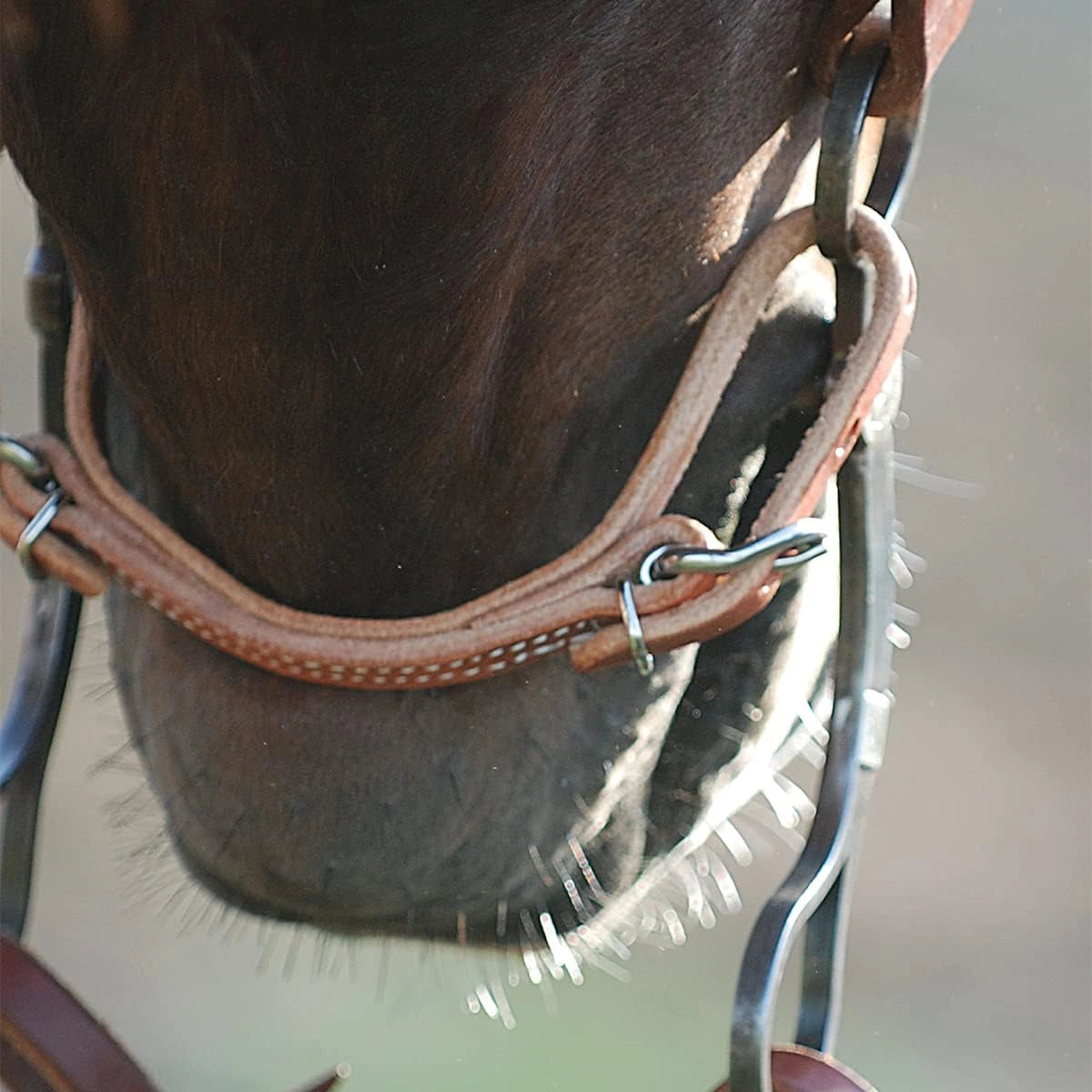 Martin Saddlery Hermann Oak Harness Leather Curb Strap with Stainless Steel Buckles - 10 1/2" x 1/2"
