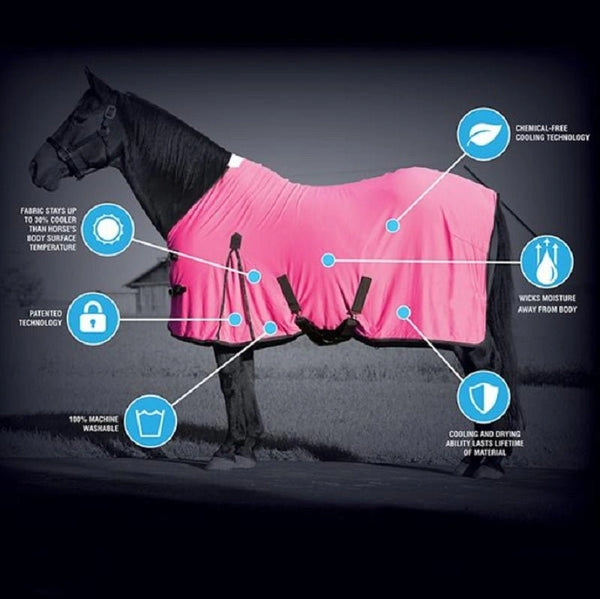 Weaver Leather CoolAid® Horse Equine Cooling Coolcore Blanket - Hooves and Paws