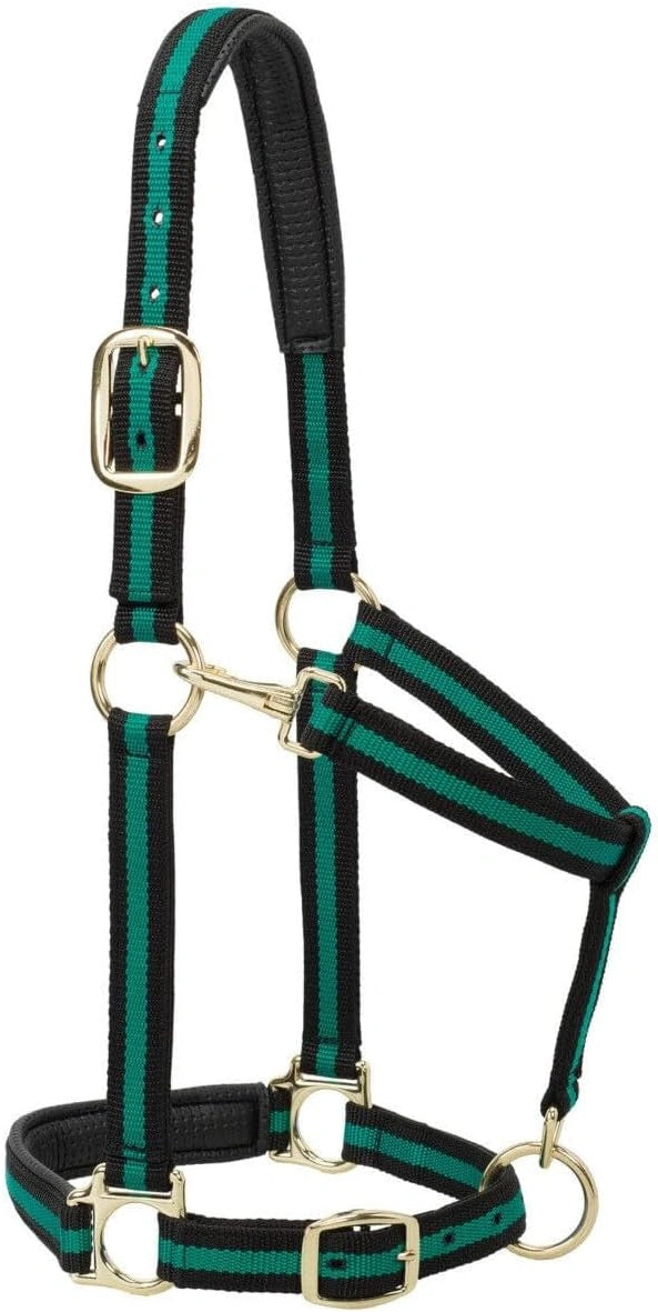 Weaver Leather Padded Nylon Halter – Triple-Adjust Comfort Fit