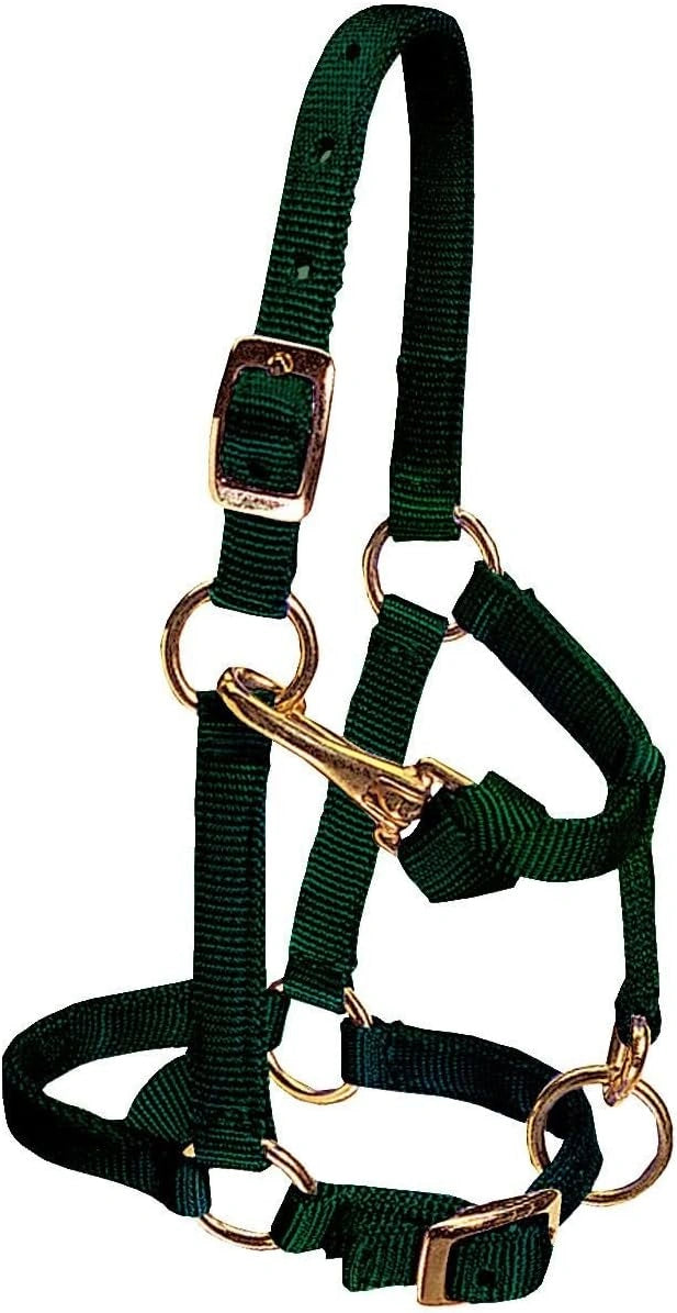 Weaver Leather Mini Adjustable Nylon Halter with Brass Hardware