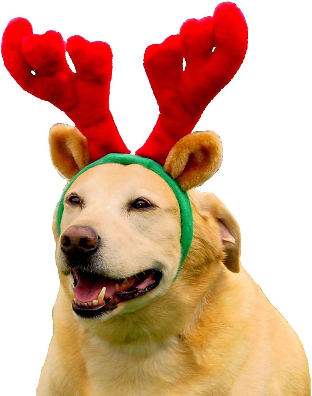 Outward Hound Holiday Christmas Reindeer Antlers Wearable Dog Accessories (Sell out)