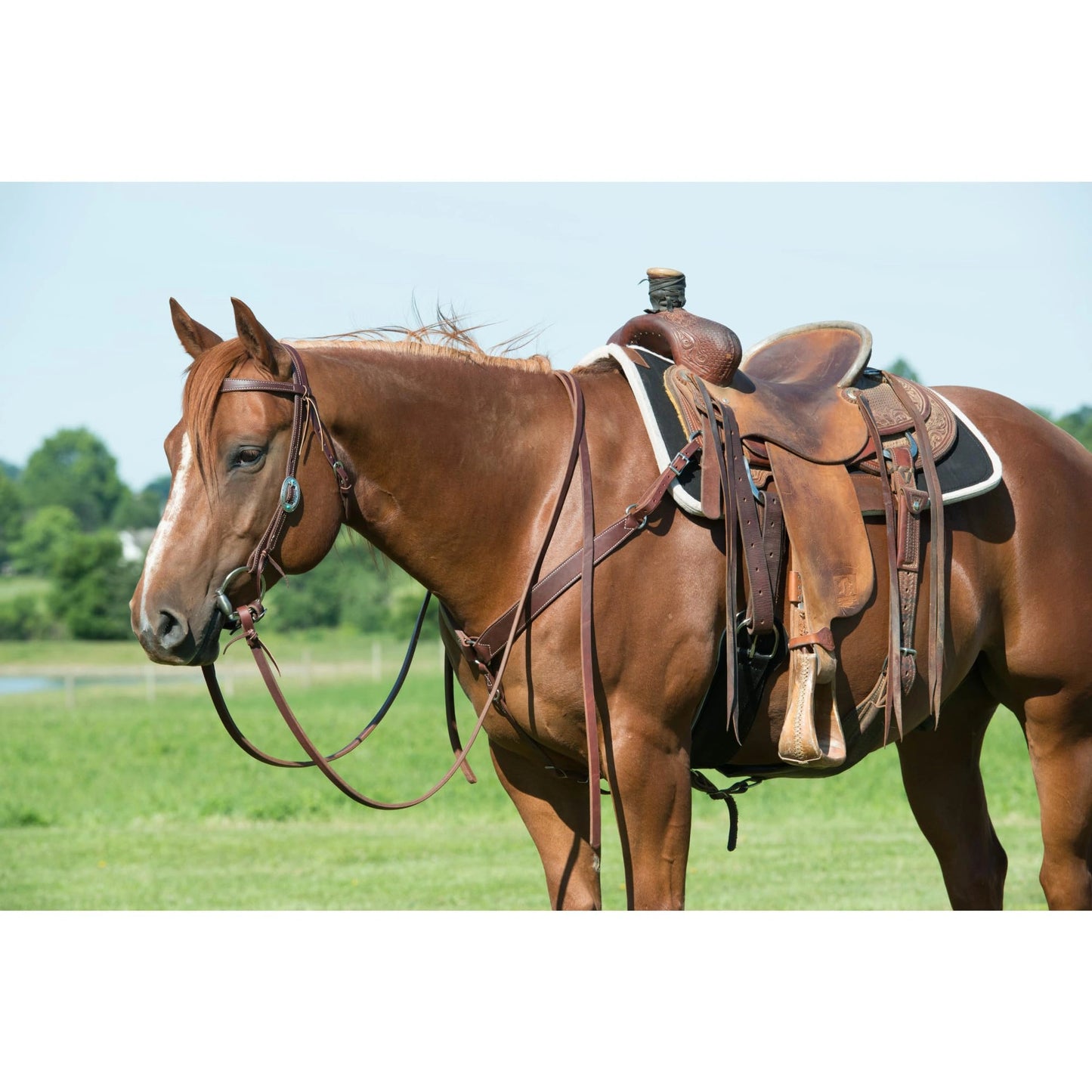Weaver Leather Working Tack Breast Collar
