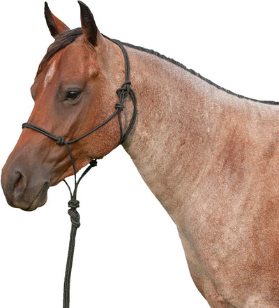 Conjunto de cabestro de cuerda de grado marino y ramal de 9 pies de Martin Saddlery