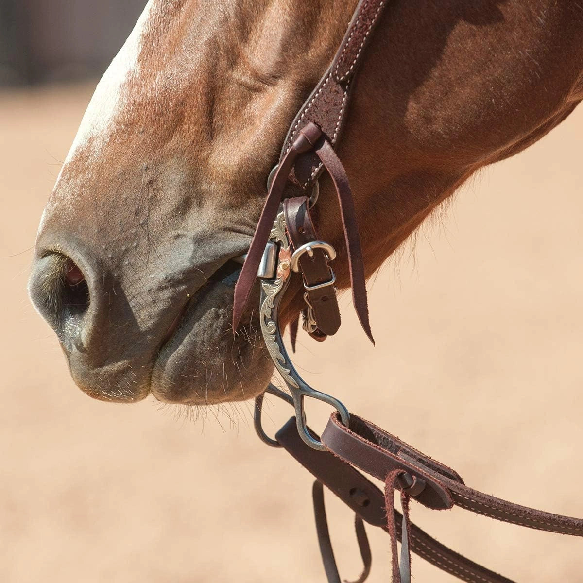 Classic Equine 7.5" Cheek Correction Bit - 2.5" Purchase, 5" Swept-Back Shank, Taller Port for Finished Horses