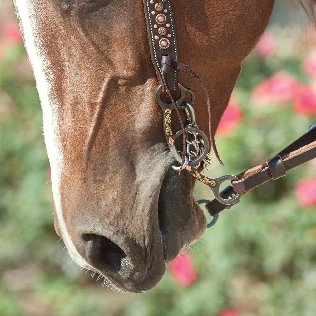 Classic Equine Sherry Cervi Short Shank Gag Bit - Twisted Wire Dogbone Mouthpiece