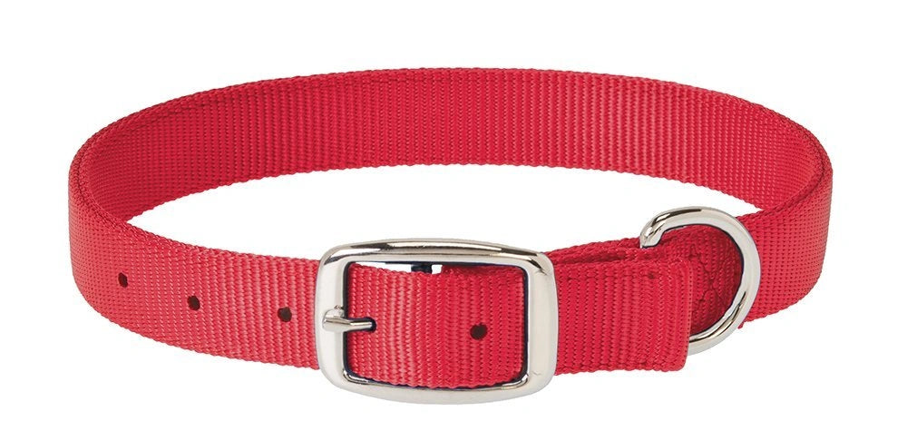 Weaver Leather Prism Classic Dog Collar - Hooves and Paws