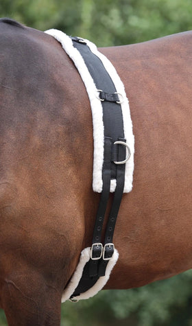 Shires Nylon Lunging Roller with Fleece Padding - Black - 11 D-Rings - Multiple Sizes
