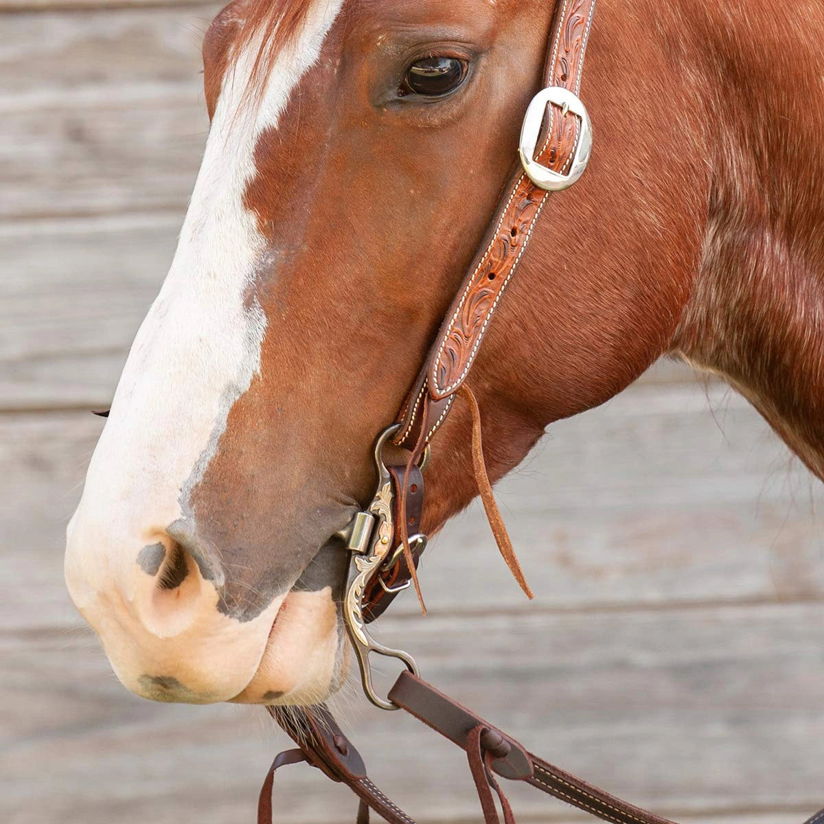Classic Equine Floral Scroll Straight Shank Bit - Gentle Control