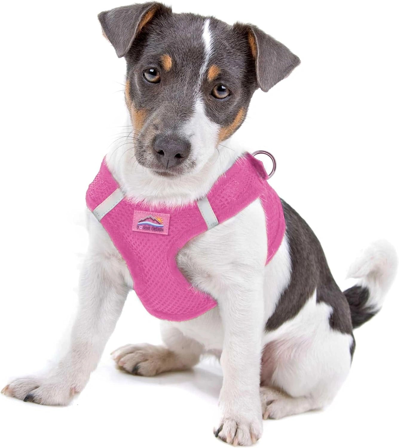 Doggie Design Dog Harness - No Choke Dog Harness, Dog Vest, Mesh Polyester, Pet Harness, Simple Step in and Go Design, Harness for Dog - Candy Pink, S
