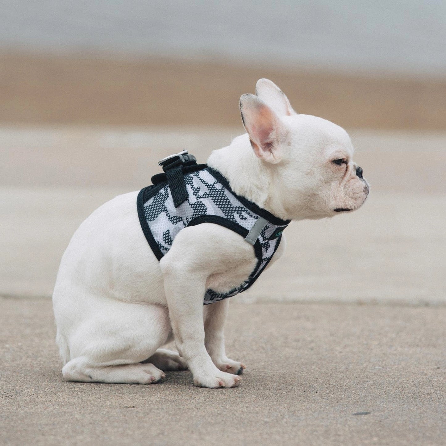 Ultra Choke Free Step in Reflective Dog Harness American River Camouflage Gray (Small)