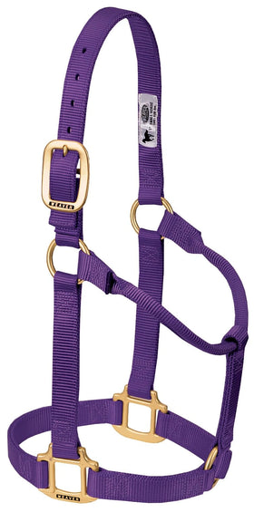 Weaver Leather Triple-Ply Nylon Halter with Solid Brass Hardware