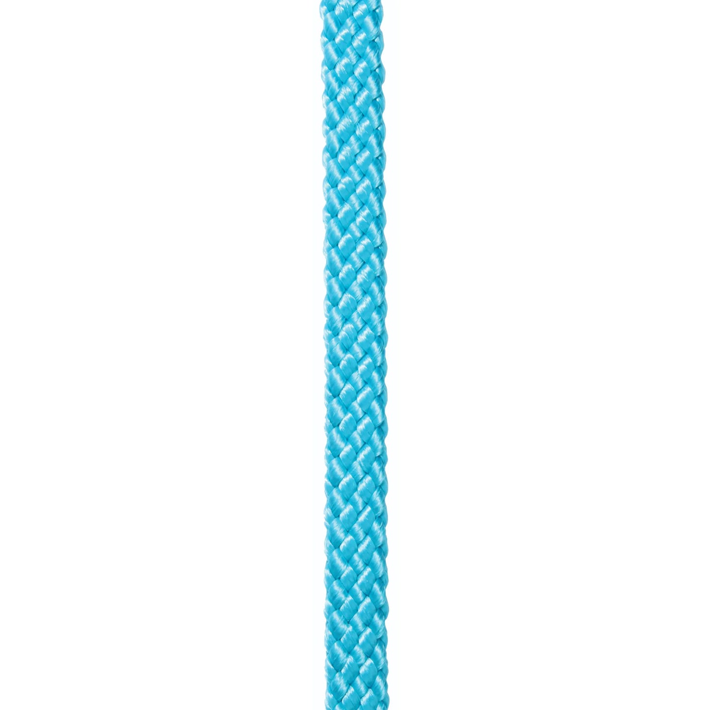 Vibrant cyan Professional's Choice Braided Roping Reins featuring a high-quality, durable weave. Designed for horse training and roping, these bright blue equestrian reins offer a secure grip and long-lasting performance. Ideal for riders seeking reliable horse gear for training or daily use.
