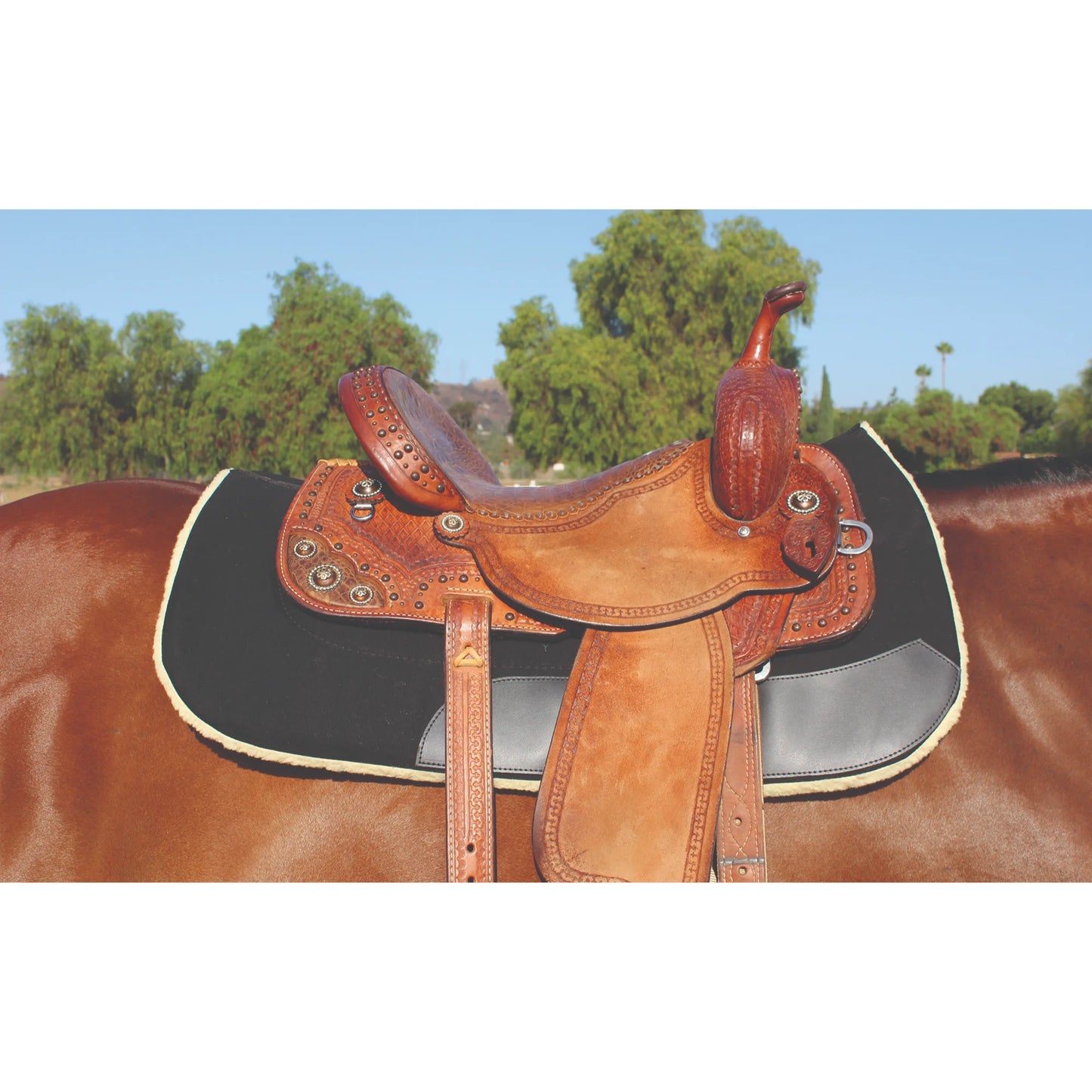 Professional's Choice Contoured Work Pad - Durable Western Saddle Pad, Black, 31" x 32"