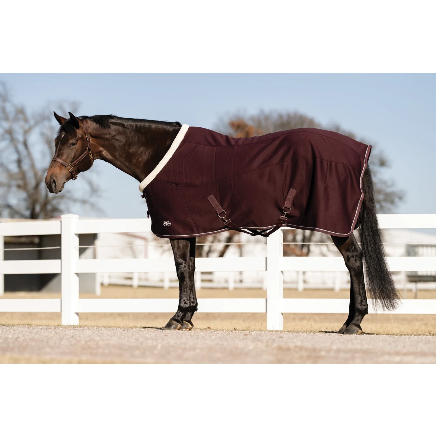 Professional's Choice Softshell Cooler Sheet - Breathable Moisture-Wicking Horse Sheet - Multiple Sizes