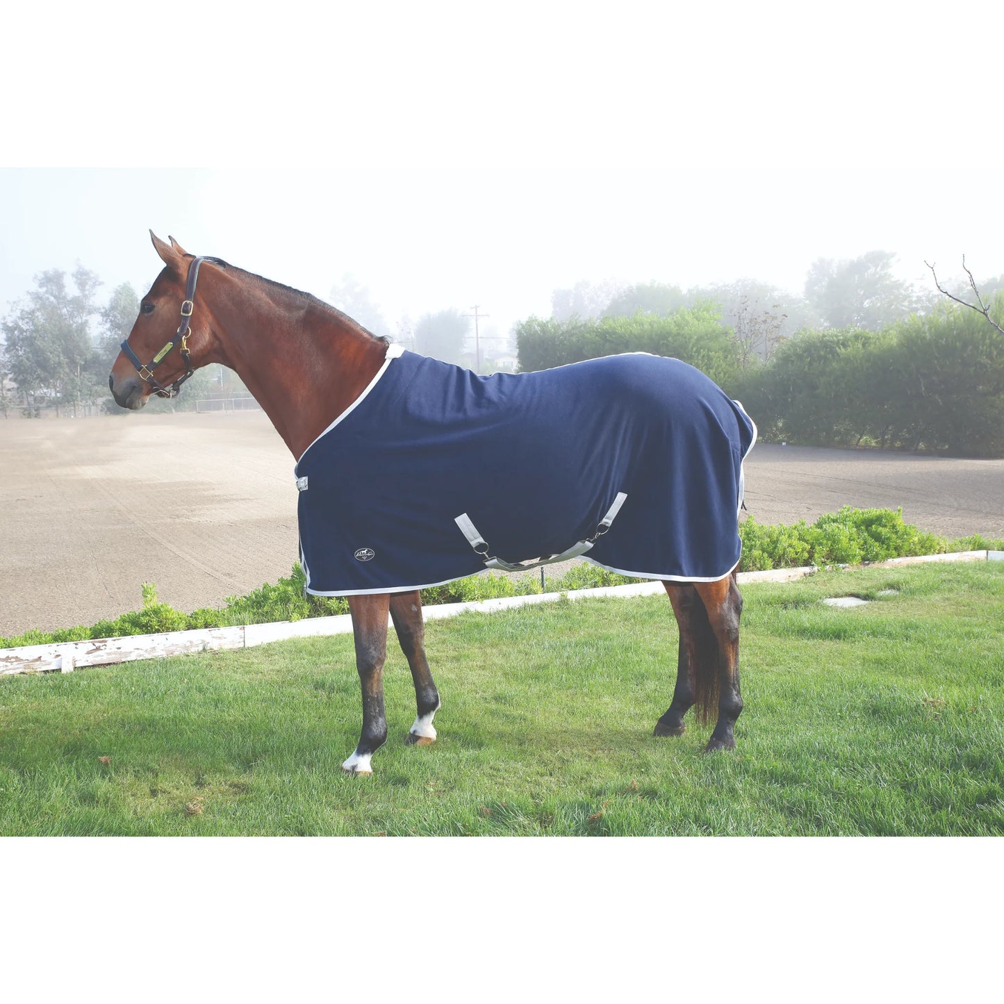 Professional's Choice Standard Horse Cooler - Breathable Moisture Wicking Post-Workout Fleece Sheet