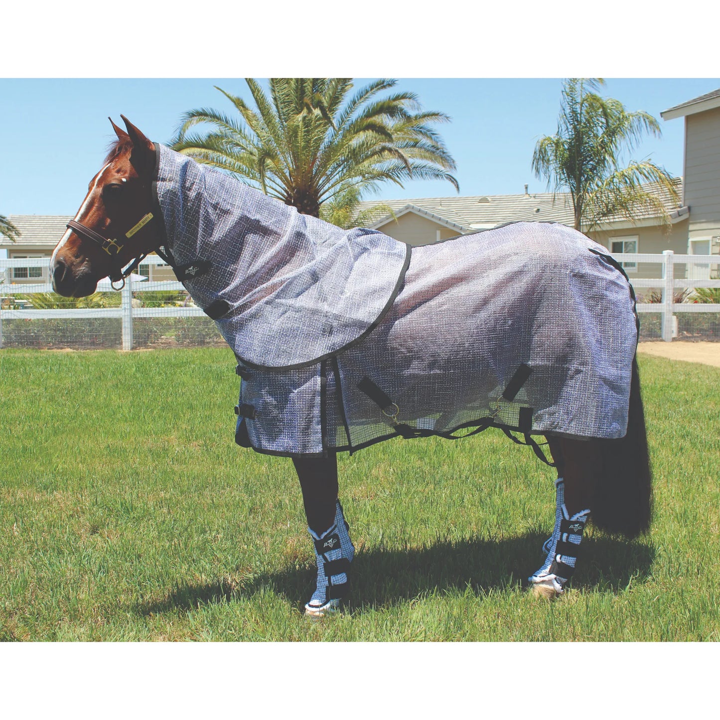 Professional's Choice Fly Neck Cover in silver mesh with black trim, shown on a bay horse with a matching fly sheet and fly boots. This full-coverage equine fly protection set shields against biting insects and harmful UV rays during summer turnout. The breathable, lightweight mesh design ensures maximum comfort and durability for your horse. Perfect for comprehensive protection from the neck to the legs while maintaining airflow in hot weather.