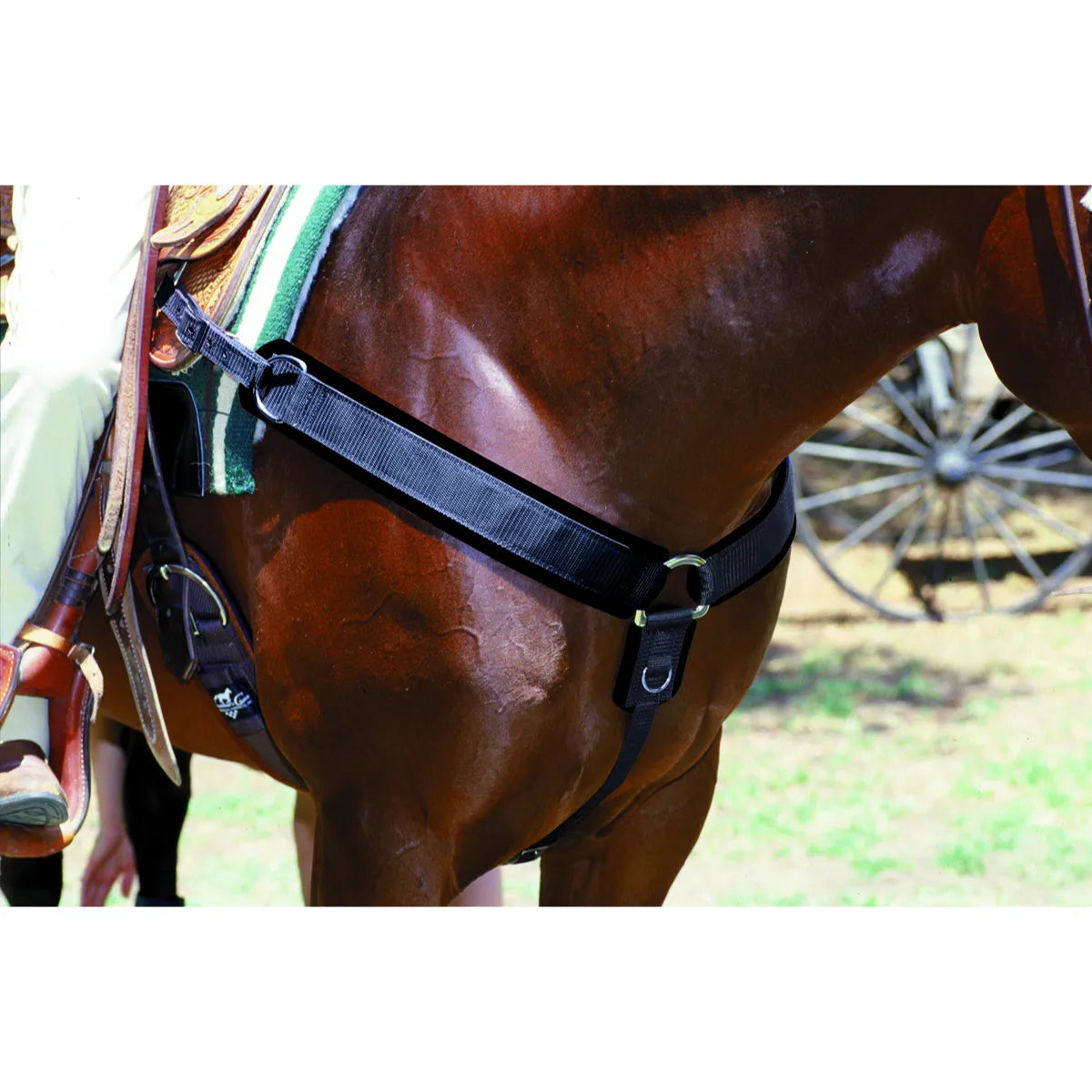Professional's Choice Neoprene Breast Collar in black, showcased on a bay horse. This high-performance western tack features durable nylon webbing, a non-slip neoprene lining, and stainless steel hardware for a secure fit. Designed to prevent saddle slippage, this equestrian accessory is perfect for trail riding, ranch work, and competition. Elevate your horse's comfort and style with this essential piece of western horse gear.