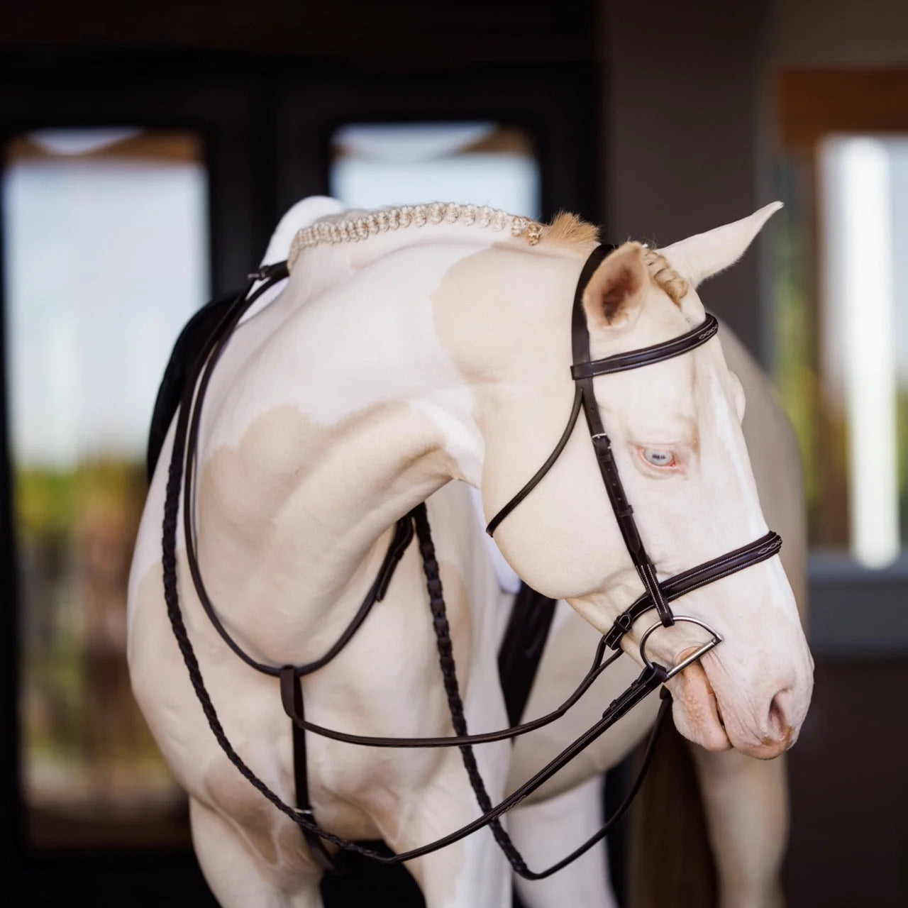 Shires Fancy Square Raised Padded Leather Horse Bridle with Fancy Square Laced Reins