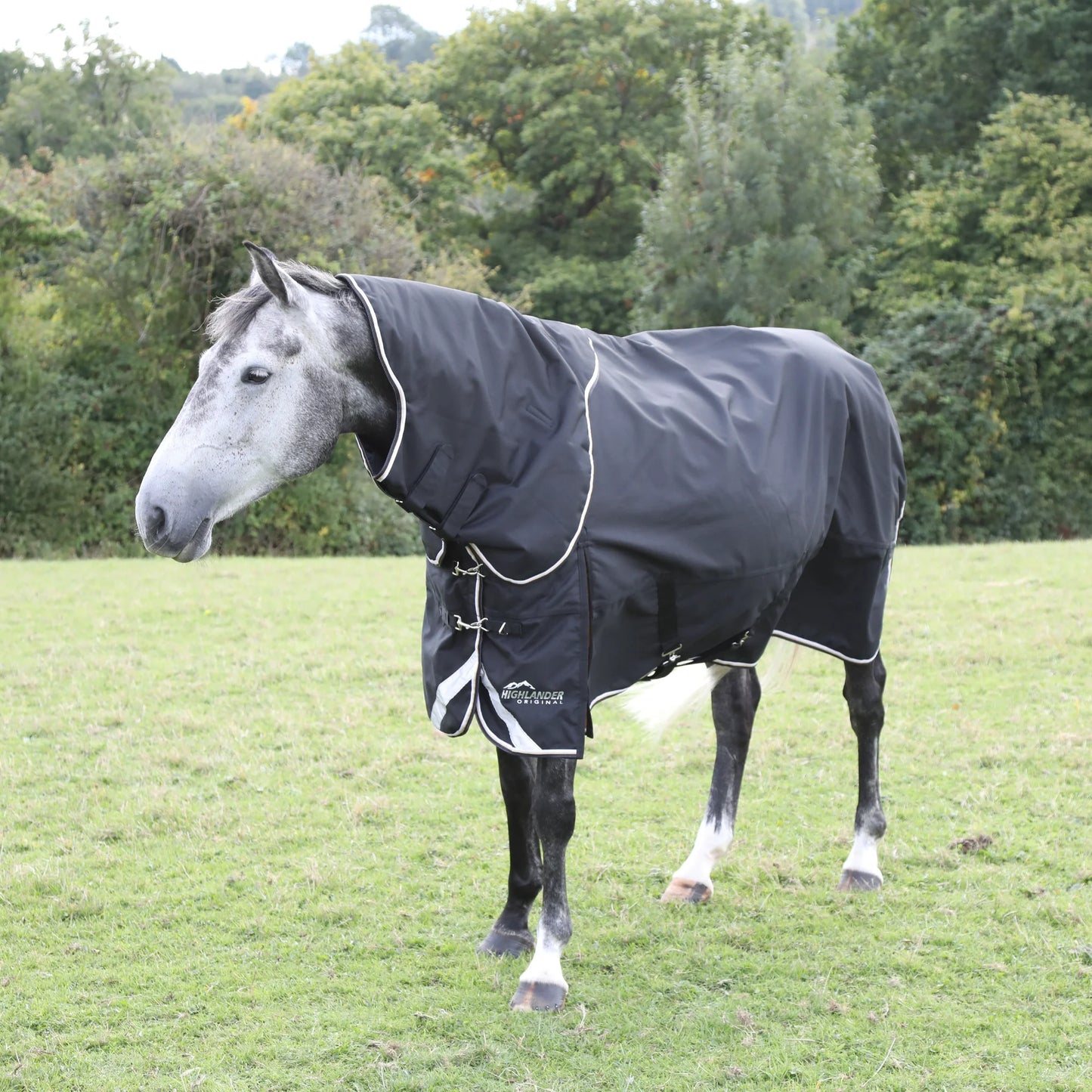 Shires Highlander Plus 200 Standard Neck Turnout Blanket - 200g Medium Weight