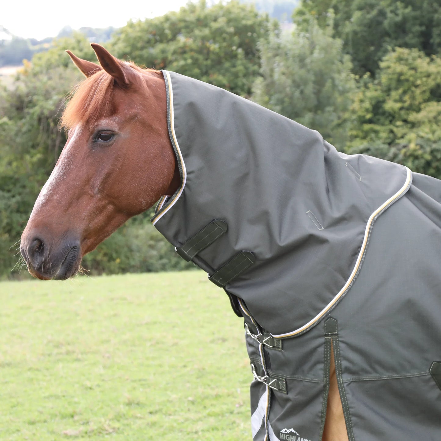 Shires Highlander Plus Lite Standard Neck Turnout Rug - 1200 Denier 0g Fill - Multiple Sizes