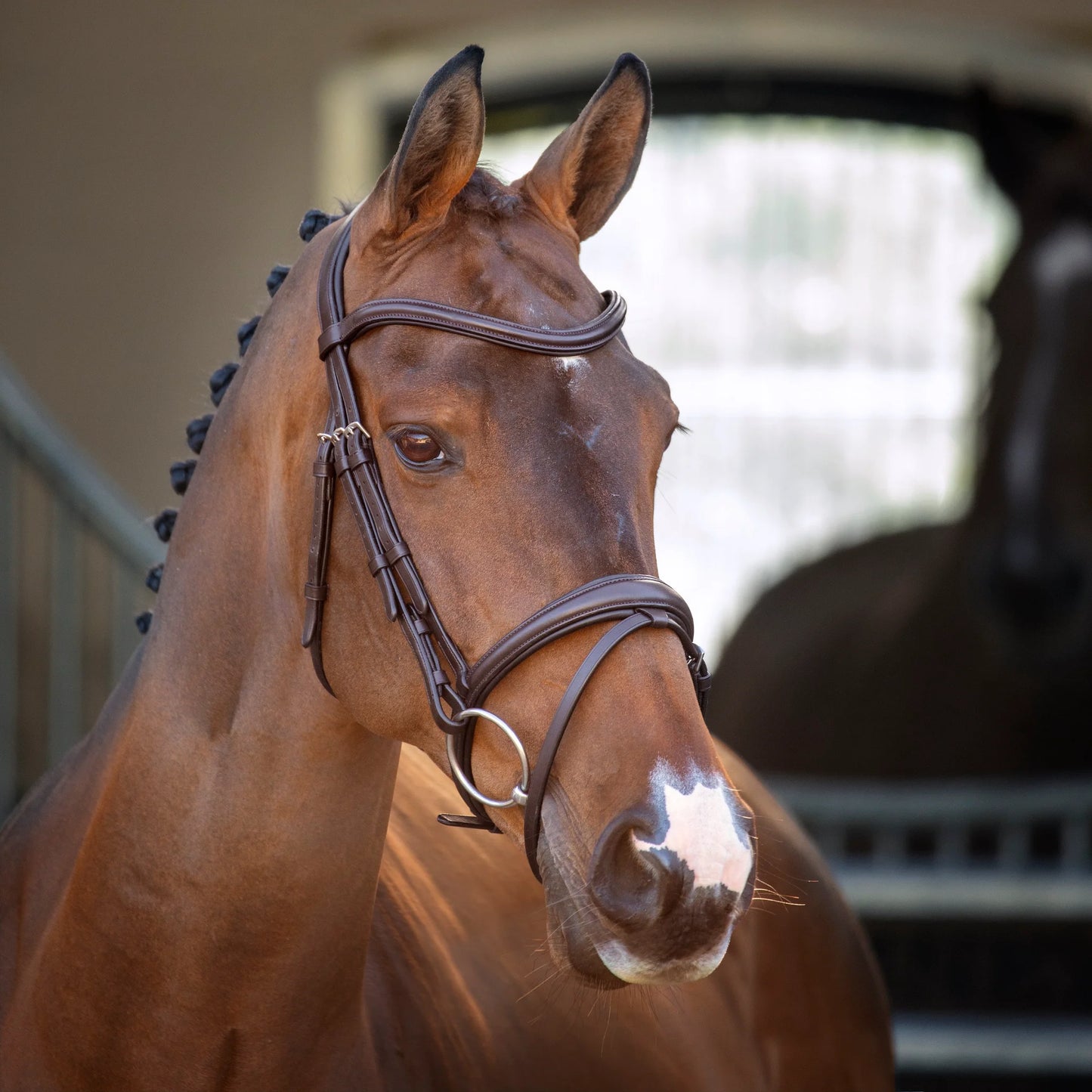 Shires Lusso Padded Raised Flash Bridle - Premium Leather Equestrian Horse Tack - Multiple Sizes